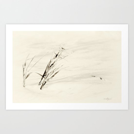 Windswept Art Print