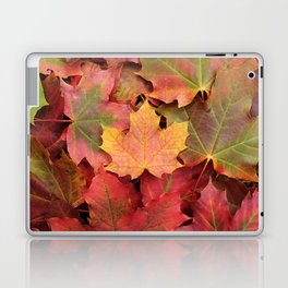 Yellow, green and red maple leaves Laptop & iPad Skin