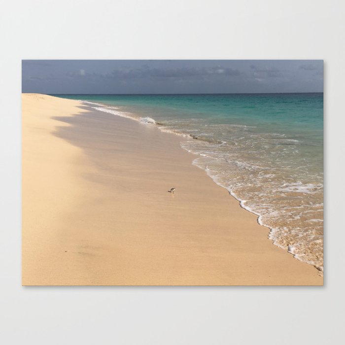 Beach - Cape Verde Canvas Print