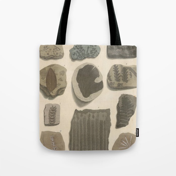Naturalist Fossils Tote Bag