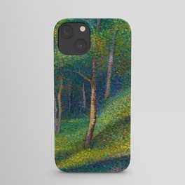 Maidenhair, Aspen, Ginkgo Biloba, & Birch Tree Forest landscape painting by Edmond Petitjean iPhone Case