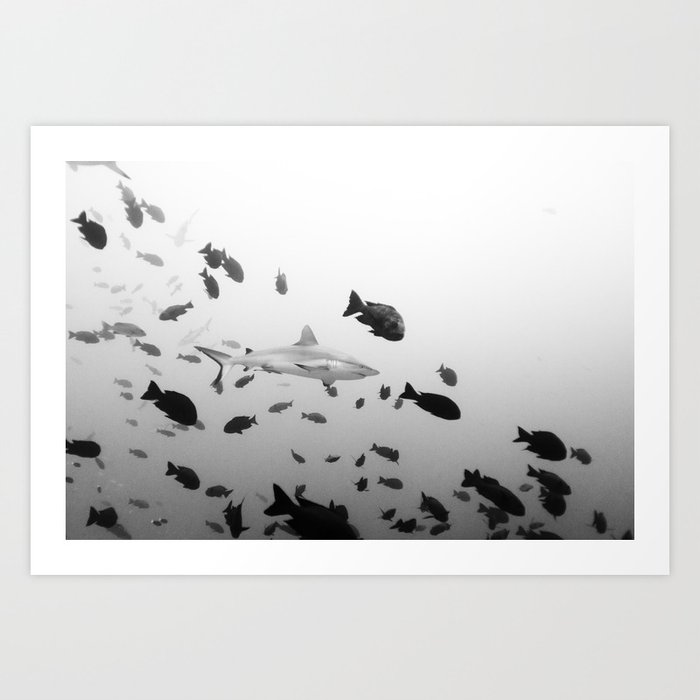 Shark 210228-9C1A5008 Art Print