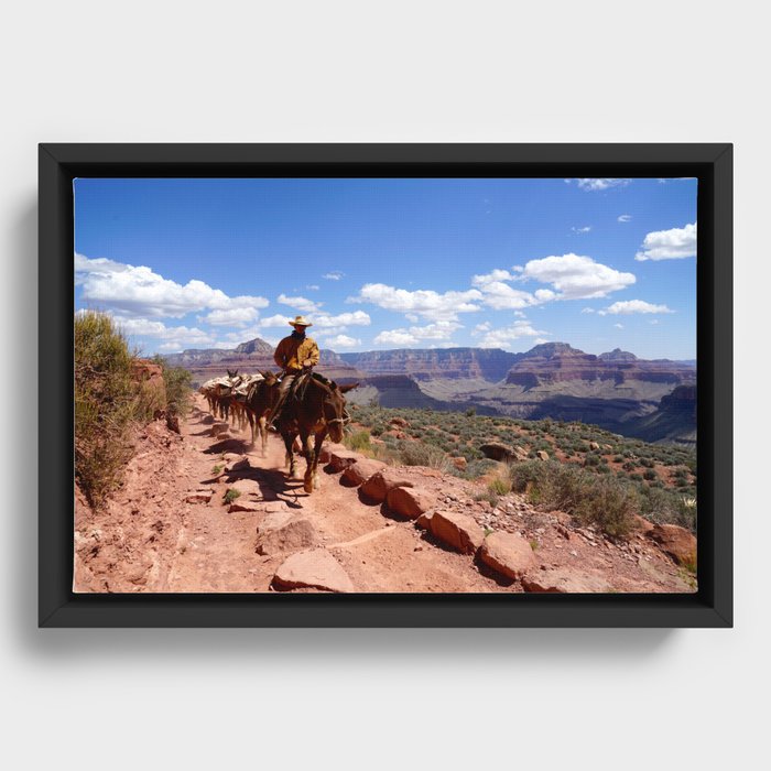 Grand Canyon Cowboy Framed Canvas