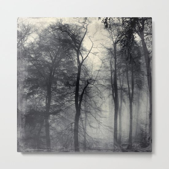 realm of shades Metal Print