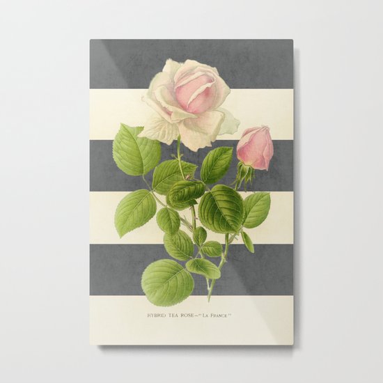 botanical stripes I - gray Metal Print