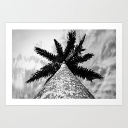 Palmeira Art Print