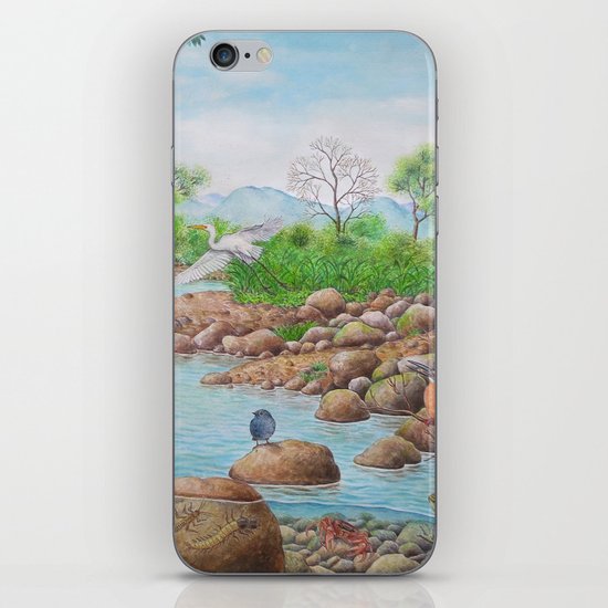A Day of Forest(7). (the river ecosystem) iPhone & iPod Skin