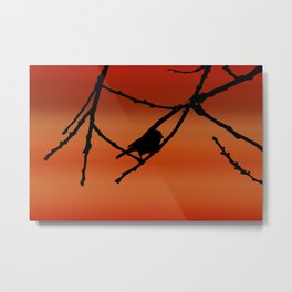 Tiny Verdin Silhouette On The Summer Sunset Metal Print | Ebonyblack, Red, Bird, Photo, Long Exposure, Summersky, Sunset, Black, Colorful, Digital Manipulation 