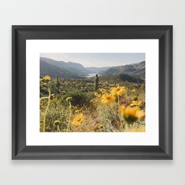 Desert Wildflower Superbloom Framed Art Print