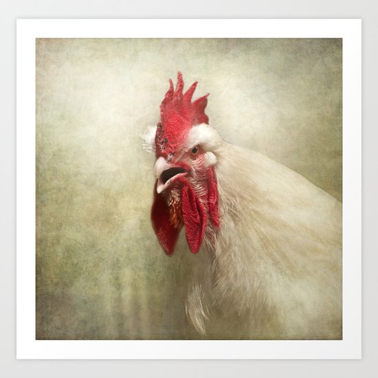 Portrait of a chicken Art Print