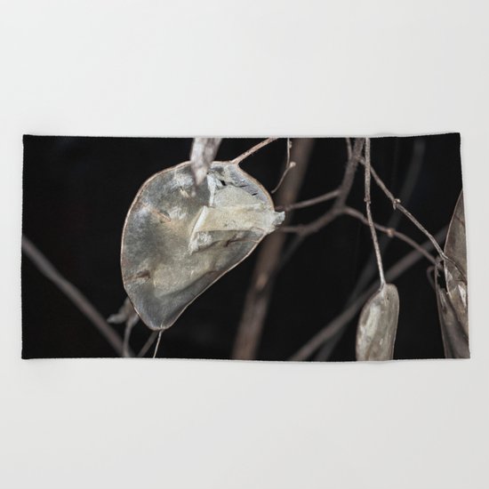 Silver dollar plant Beach Towel