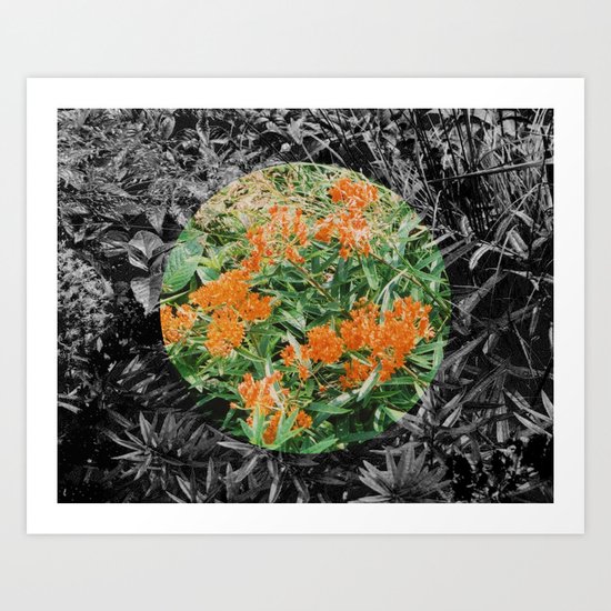 High Line Sunshine Art Print
