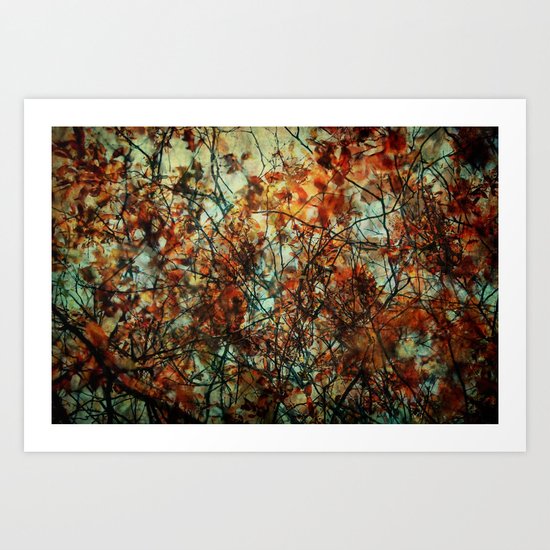 Rusty Spring Art Print