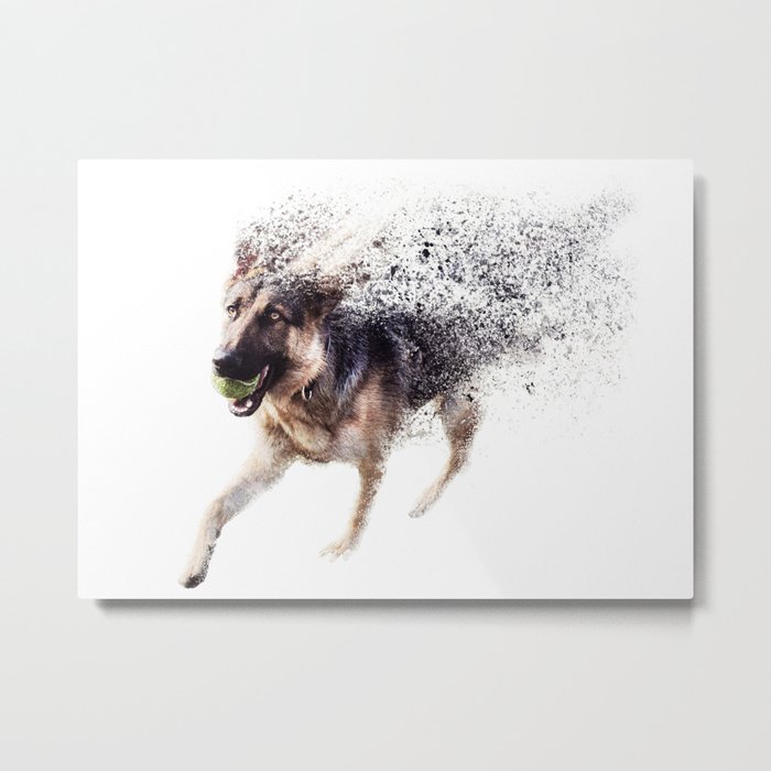 Dispersion Dog Metal Print