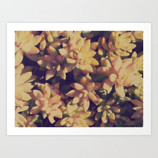 Succulent Art Print