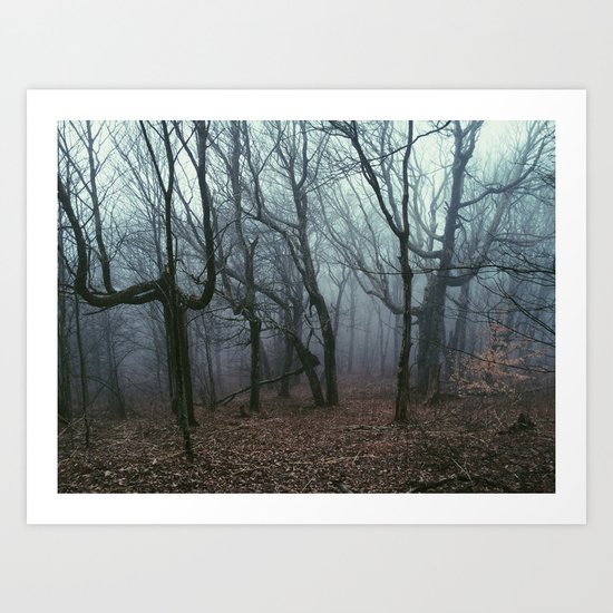 Foggy Max Patch Woods Art Print