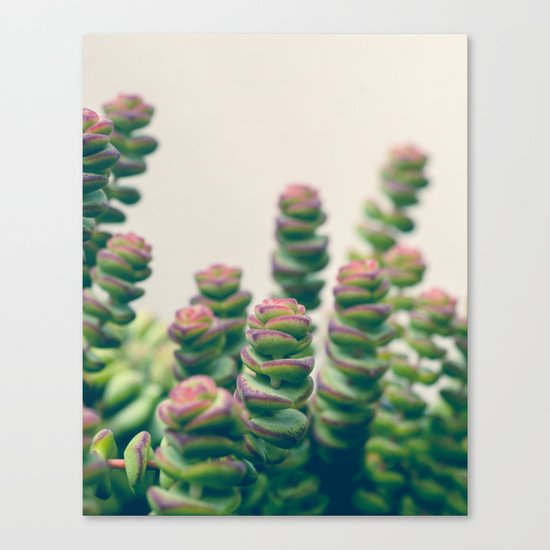 Her Dreams Became a Ladder to Climb Canvas Print