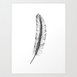 Chicken Feather in Pencil Art Print