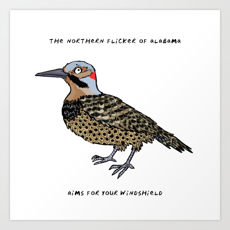 Northern Flicker State Bird Of Alabama Art Print By Kitschcollins Society6