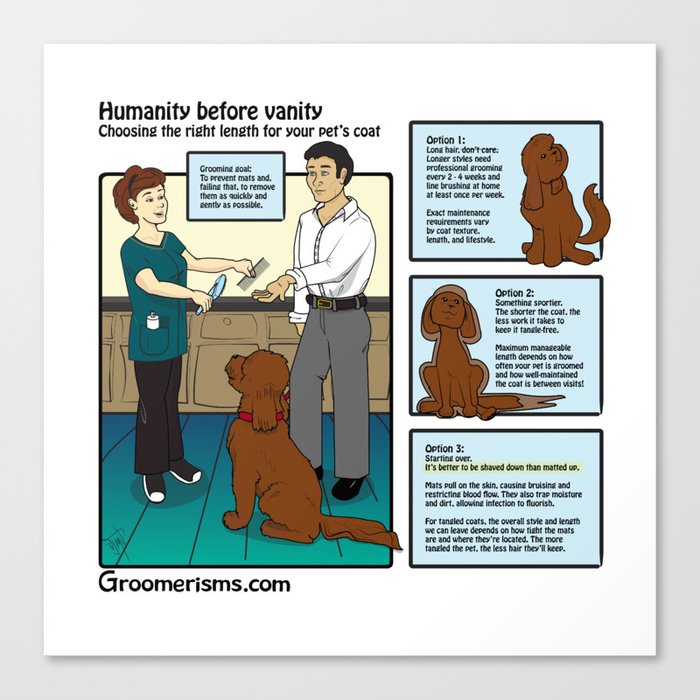 Maintenance Pet Grooming vs Matted Shaves Canvas Print