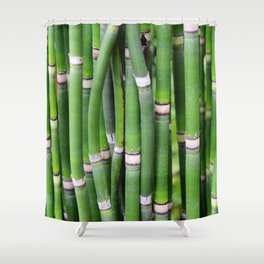Bamboo Green Lines Stripes Reed Stalk Shower Curtain