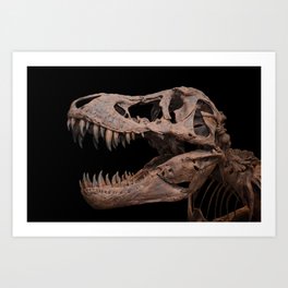 Tyrannosaurus rex on black Art Print | Animal 