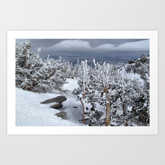 Mt Rose Art Print