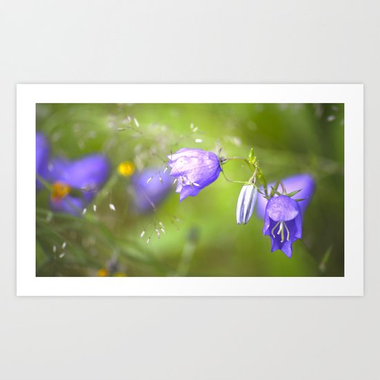 Bluebells in The Meadow Art Print