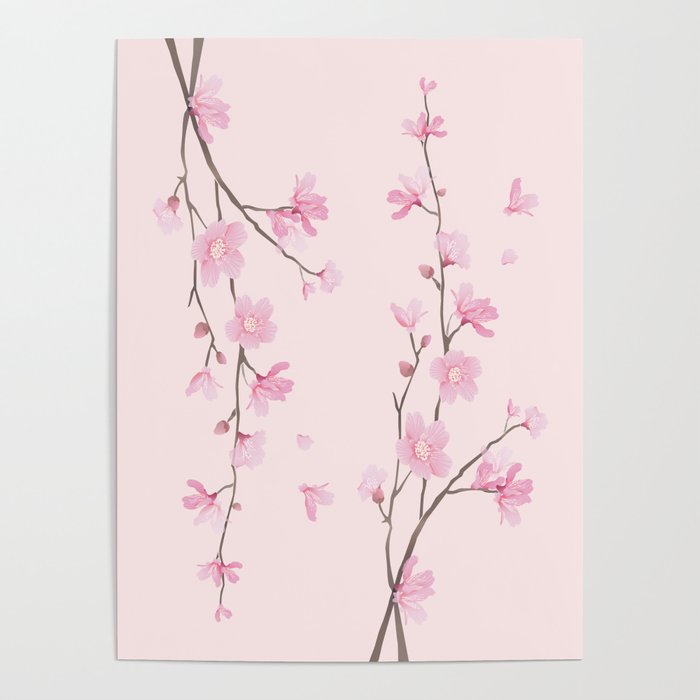 Square - Cherry Blossom - Pink Poster