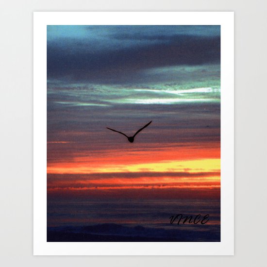 Black Gull by nite Art Print