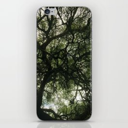 Under the tree canopy - Nature Photography - Art Print iPhone Skin