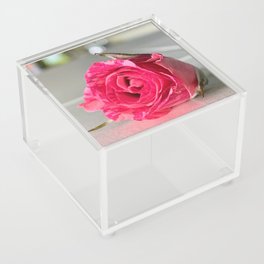 Little Rose Acrylic Box