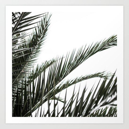 Palm Leaves 2 Art Print
