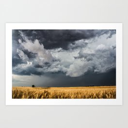 Cotton Candy - Storm Clouds Over Wheat Field in Kansas Art Print