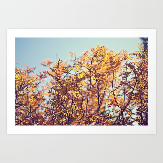 Mountain Fall Art Print