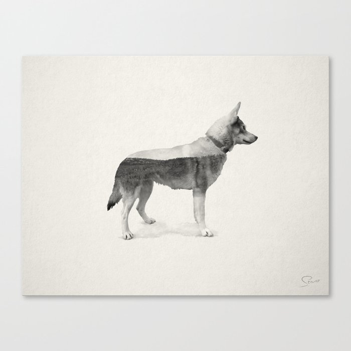 Ghost Dog - Taipa Canvas Print