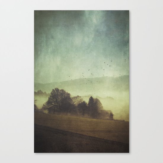 Hidden Houses Canvas Print