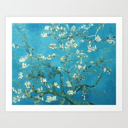Vincent van Gogh Blossoming Almond Tree (Almond Blossoms) Light Blue Art Print