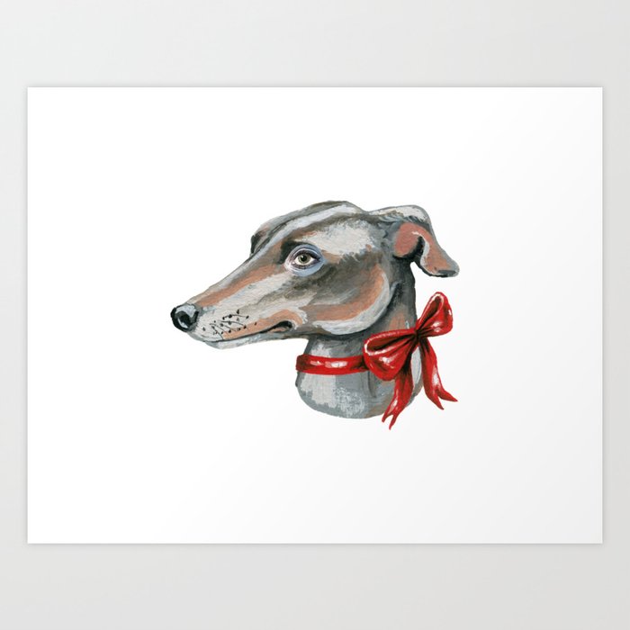 Whippet x greyhound deals puppies
