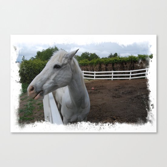 Q Ball Canvas Print