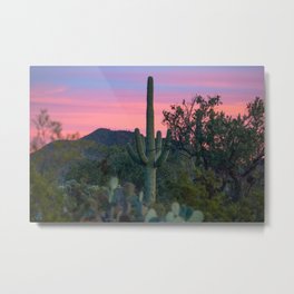 Succulent Sunset - Saguaro Cactus at Dusk in Sonoran Desert in Arizona Metal Print