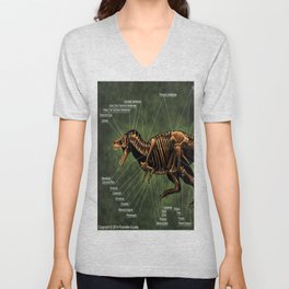 Tyrannosaurus Rex Skeleton Reconstruction V Neck T Shirt