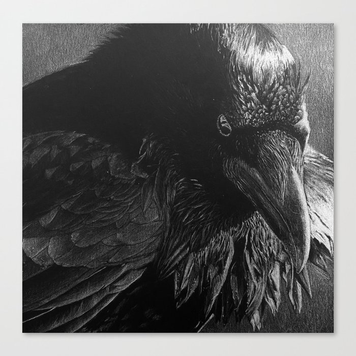 White Pencil Raven Drawing Canvas Print