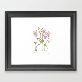 Pink Anemone Framed Art Print