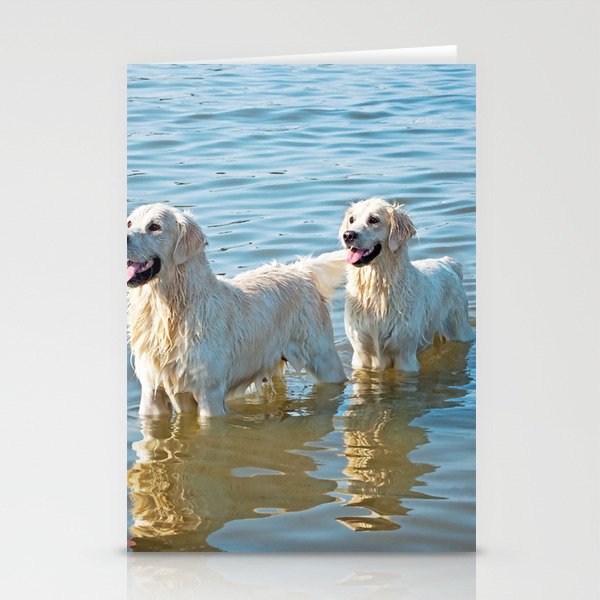 Two Dogs Playing Water  Stationery Cards