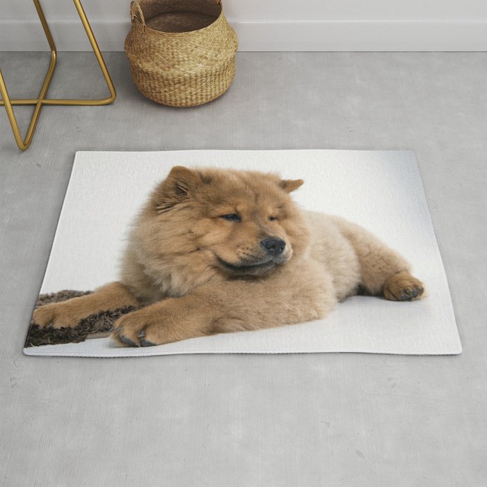 Chow chow 2025 blanket