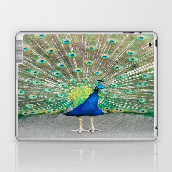 Coat of Many Colors Laptop & iPad Skin