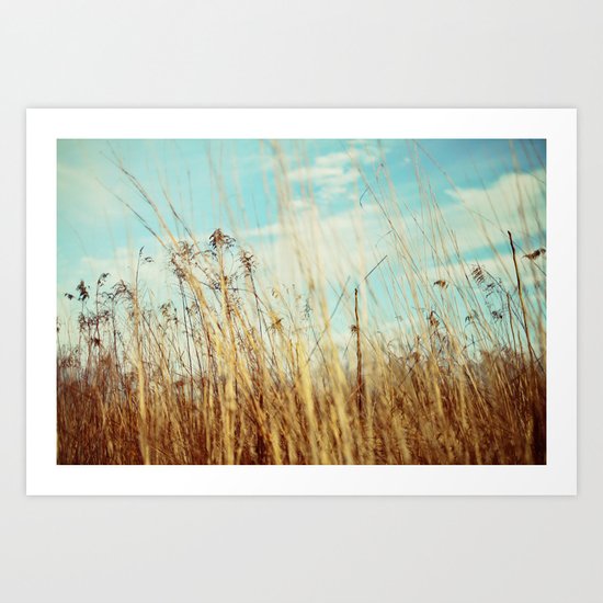 a winter field Art Print