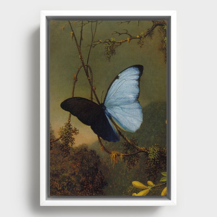 Framed Canvas
