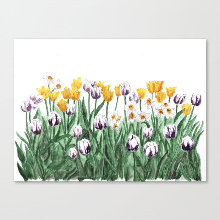 Tulip Watercolor Art Yellow Flowers Painting Purple Flowers